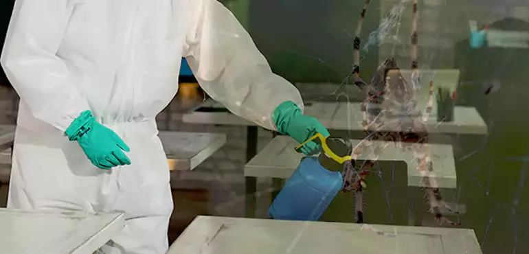 Why Buyers Still Want Homes With Pest Infestations in Newport News, VA?