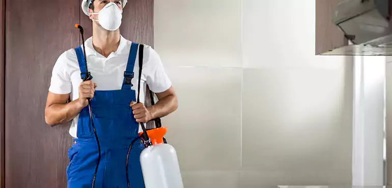 Why Newport News Homeowners Choose Us When Pests Make Selling Difficult